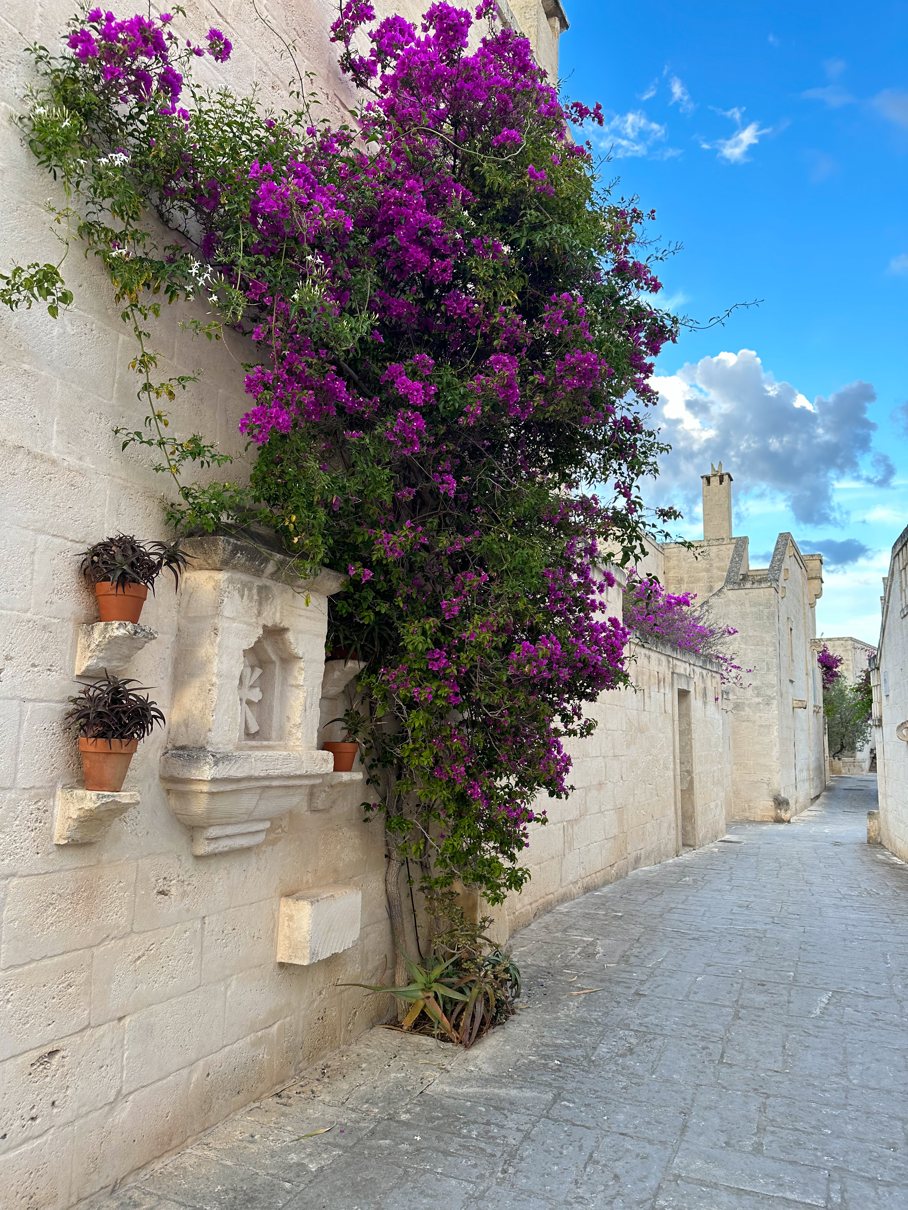 A narrow Puglian alley lined with cream stone walls and a cascade of vivid bougainvillea