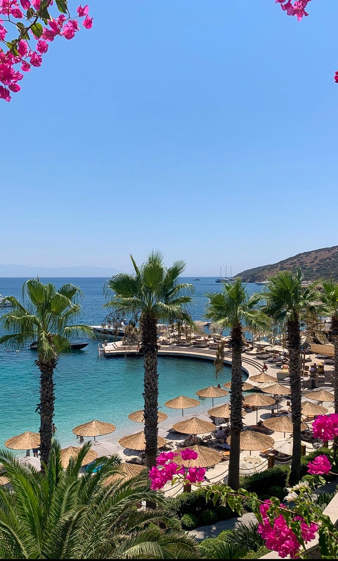 A bougainvillea-framed view of a seaside resort cove