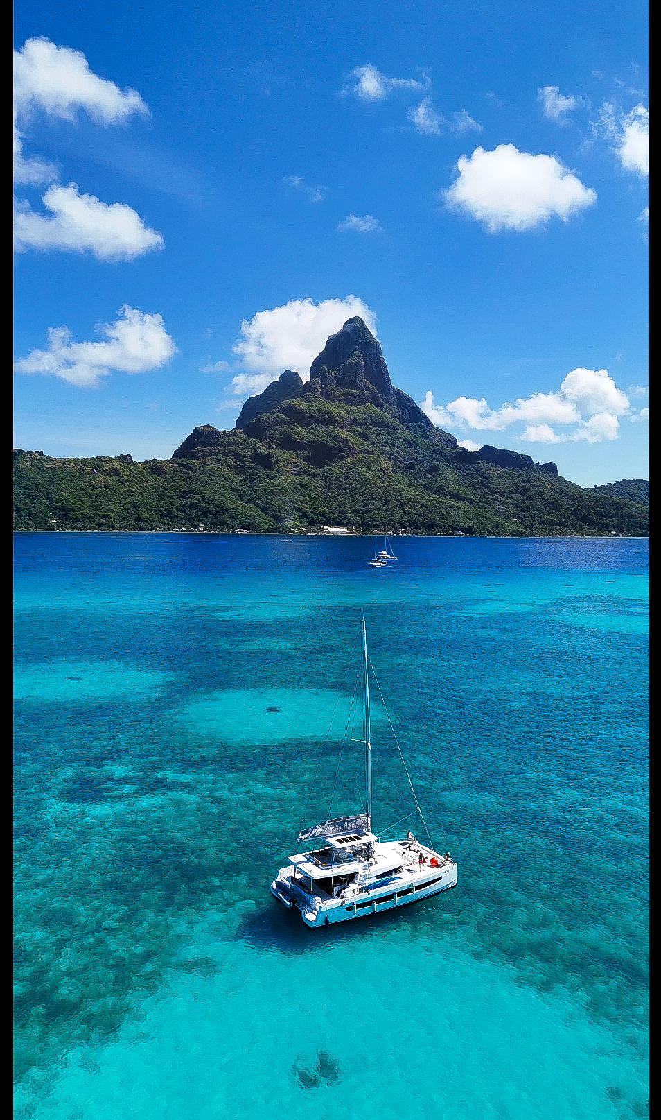Aerial view of a palm-lined white sand beach meeting turquoise water